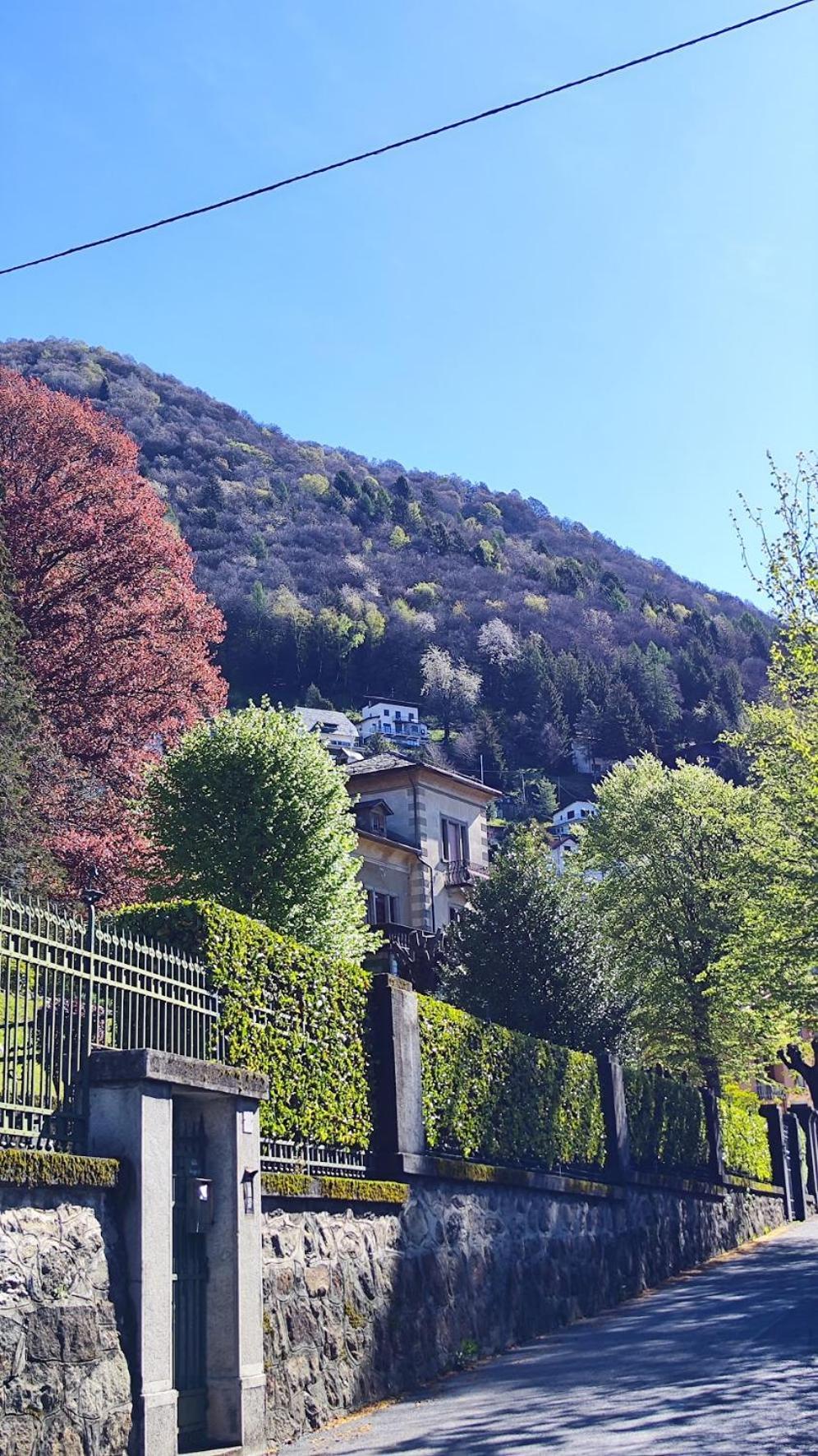 Villa Alma, Lake Como Bed&Breathe San Fedele Intelvi Eksteriør bilde
