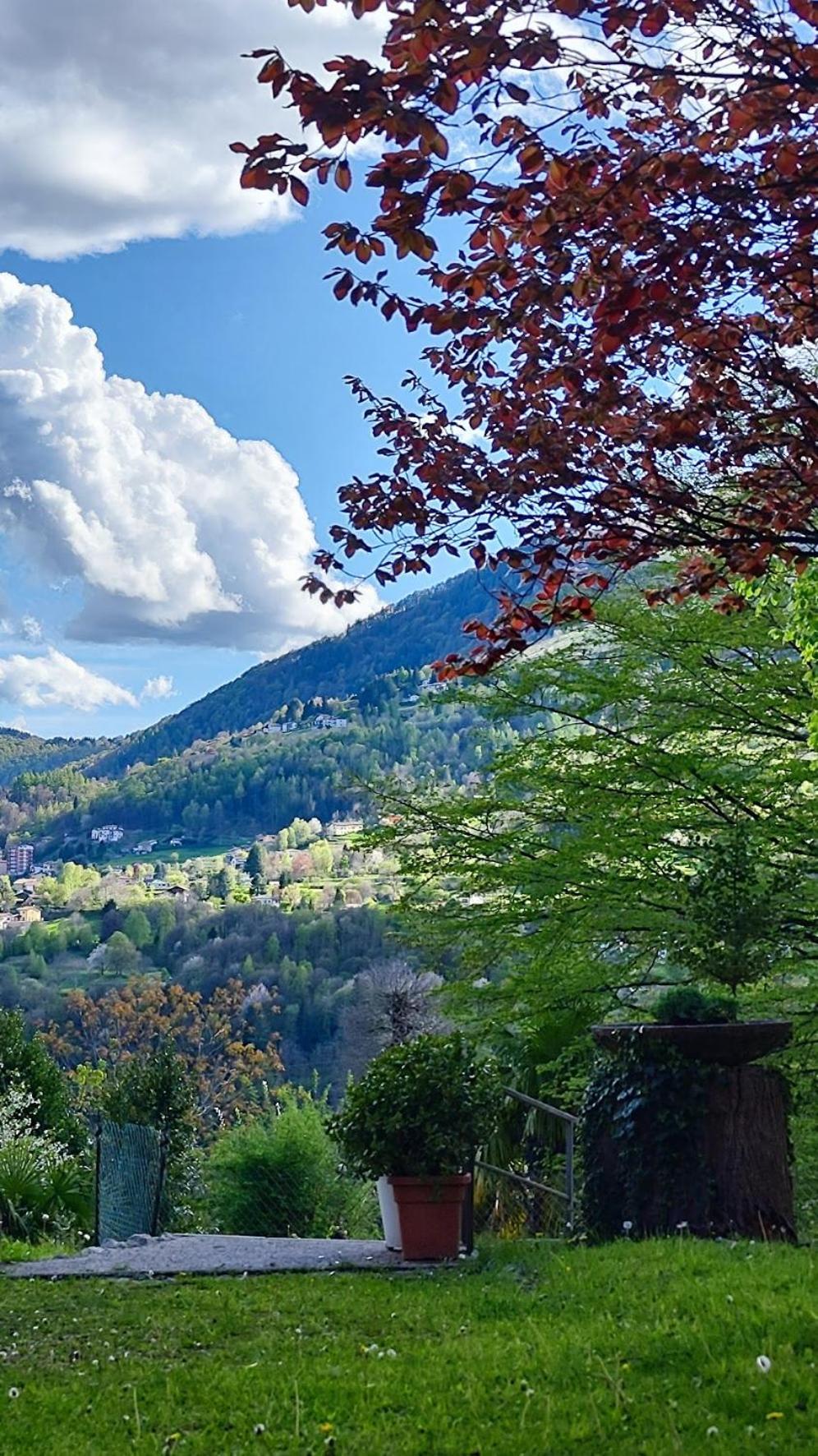 Villa Alma, Lake Como Bed&Breathe San Fedele Intelvi Eksteriør bilde